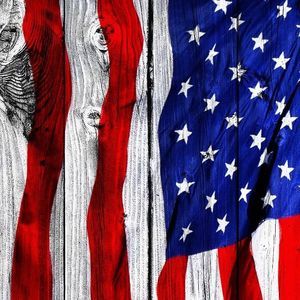 Meet your Posher, Braden